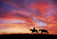 A shot from Canagher